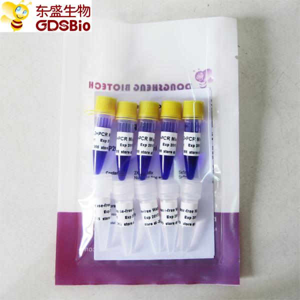 Taq Mix PCR Master Kit #P2012 5ml