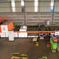 Inspection externe exclusive de l'alimentation et de la décharge de la machine de tri orange sur mesure