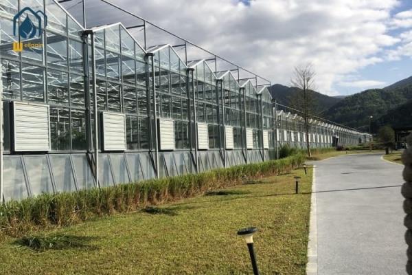 Agricultural Glass Greenhouse For Year Round Vegetable Flowers Harvests