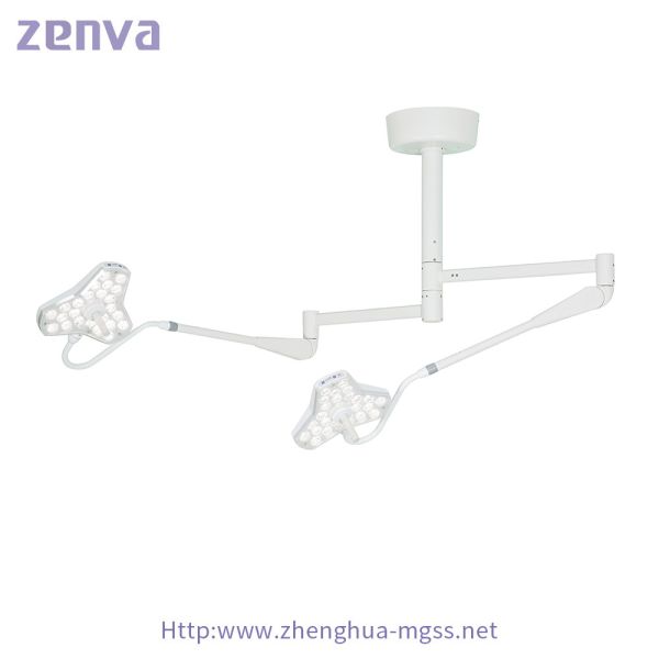 O teto dobro da abóbada montou a lâmpada cirúrgica do exame do diodo emissor de luz para o uso dental cirúrgico do veterinário