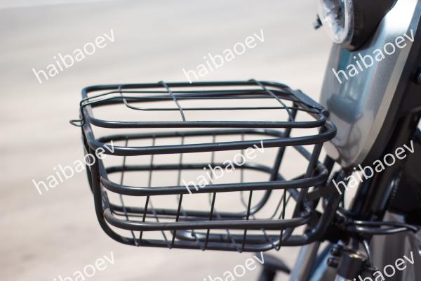 D18 500W Recreational Passenger Electric Tricycle