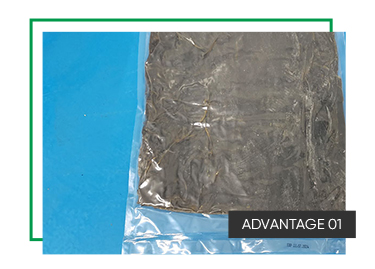 Origin Wholesale Supply High Quality New Crop Low Price New Harvested Seafood Salt Alga Kombu Seaweed Dried Extrac Kelp