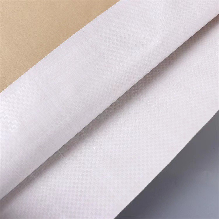 Customized Practical Paper-Plastic Composite Bag for Moisture-Proof Chemical Packaging