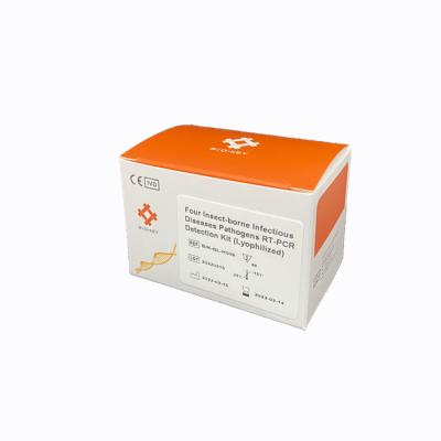 Malaria Insect Borne Disease Test  Borrelia Burgdorferi Dengue Viruses Zika Test Kit