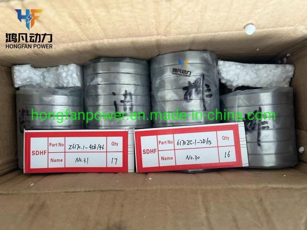 Fixed Installation Method Exhaust Valve Seat Ring Z6170.1-45b/46 for Zichai 6170/8170