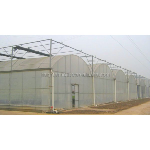 Настраиваемый размер покрытый пленкой птицефабрика теплица длина 30-100 м с пленкой