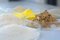 Food Grade Glucanase Enzymes Hydrolyze β-Glucan Suitable For The Treatment Of Glucan