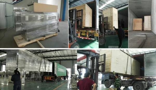 Ss Dental Care Dog Food Extruder Chewing Gum Snack Food Production Line