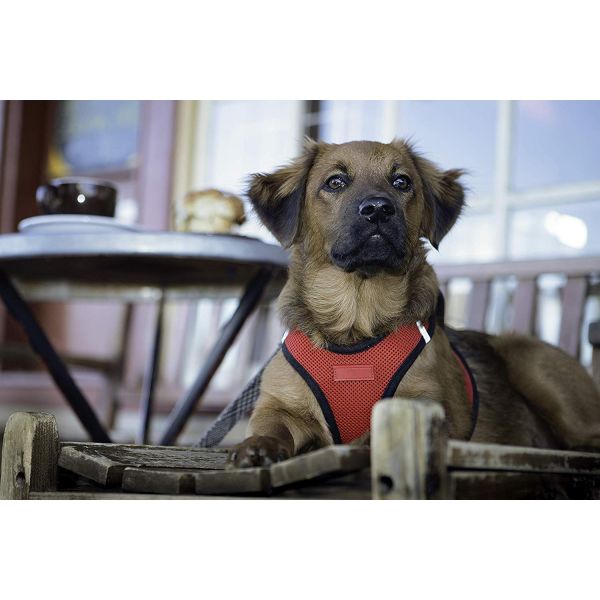 Step - In Air Mesh Custom Dog Harness Puppy Breathable Vest With Reflective Bands