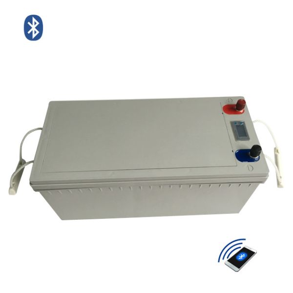 Remote Monitoring 12V 200Ah LiFePO4 Battery Pack with BMS and 2000 Cycle Life