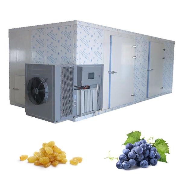 Dried Mango Pineapple Slices Food Cabinet Dryer Hot Fruit Dehydrator Commercial