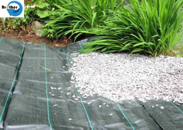 Heavy Duty Landscape Weed Control Fabric with Precut 6 Hole Spacing Perfect Gardening Weed Blocker Barrier Ground Cover