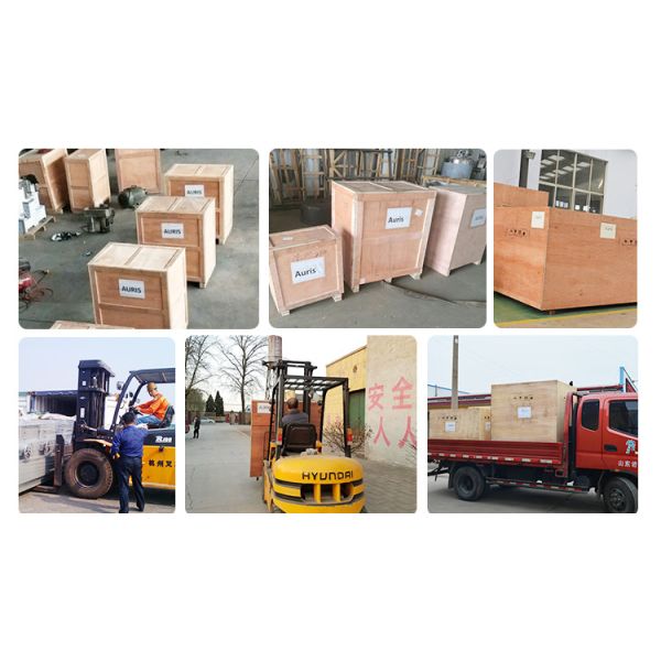 Vertical Sesame Hydraulic Oil Pressing Machine Walnut Tea See Sunflower Extruding