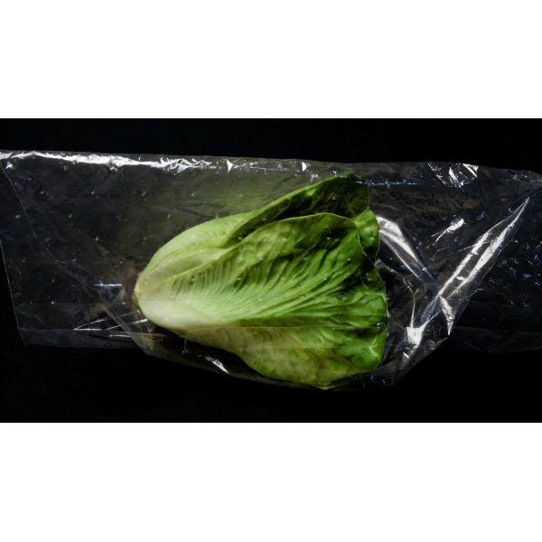 Best price Green Bags Keep Vegetables Fresh Micro-perforated Liner clear CPP Plastic lettuce  Bag Packing for Fruit