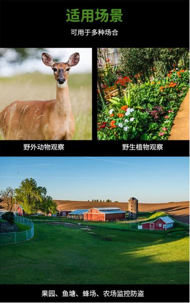2 Sensors 1520P HD 20MP Trail Wildlife Camera IP66 For hunting