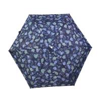 21 pouces de fois léger superbe de Mini Ladies Umbrella 3