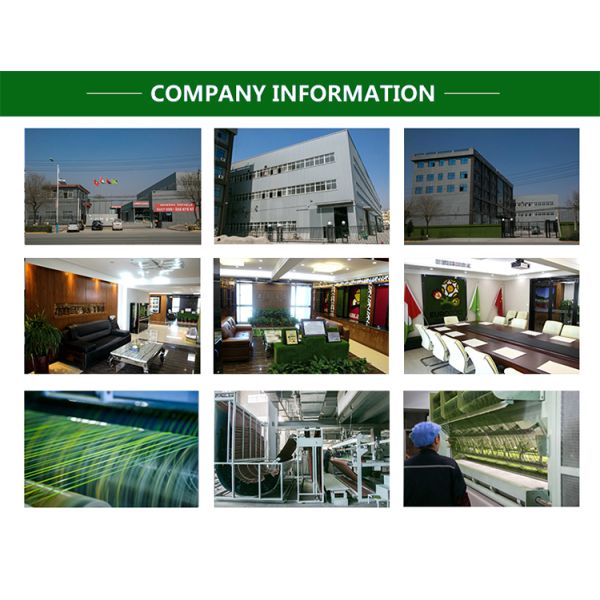 Density PE Blue Color Outdoor Artificial Turf for Tennis Court Padle Grass at Affordable