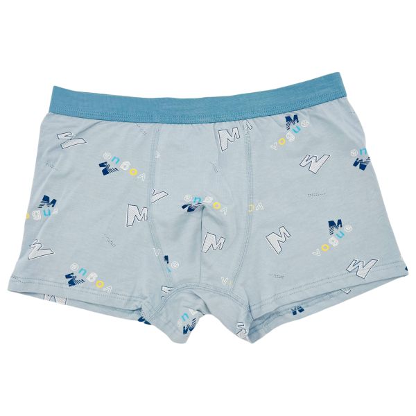 Men Boxer Brief Cotton Wholesale Rich Colors Plus Size Men's Boxer Briefs