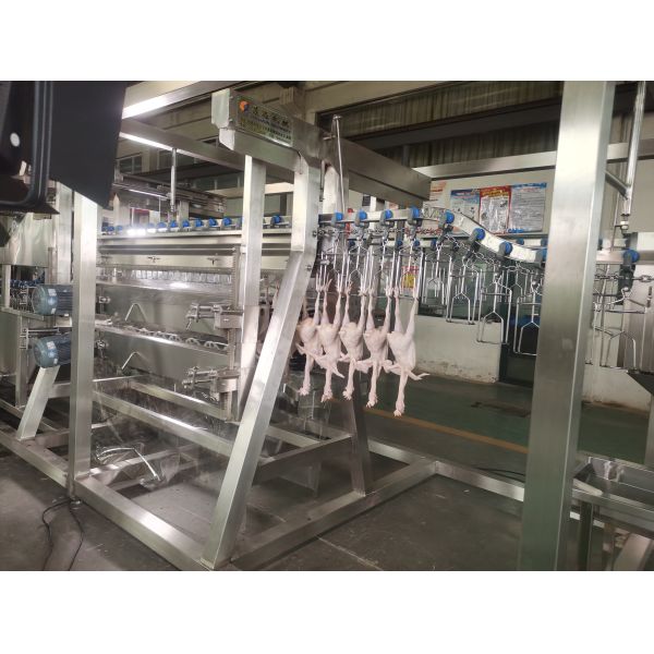 Chicken Plucker Machine Small Poultry Abbatoir Poultry(pollos) Meat Processing Chicken Processing Equipment