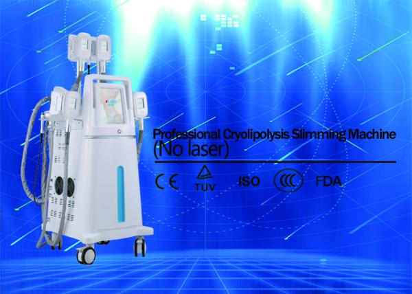 4 Handles Cryolipolysis Fat Freezing Machine With Silica Gel Head CE Certificated