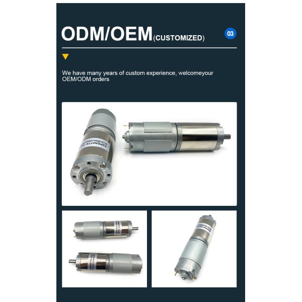 FT-42PGM775 DC Planetary Gear Motor Reduce Speed Increase Torque