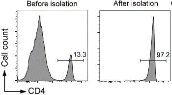 BeaverBeads Mouse CD4 Cell Isolation Kit CE Certified For Laboratory Research