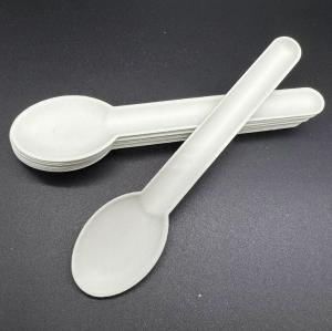 Biotecnologia Co. Ltd. Confeitaria de pasta de papel biodegradável e compostável