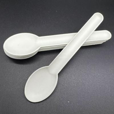 Paper Pulp Cutlery Biodegradable And Compostable Heat Resistant
