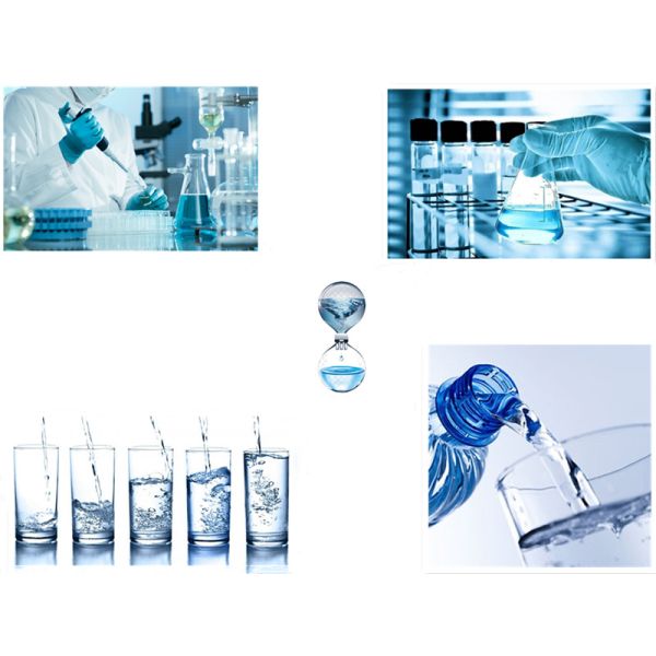 Distilled Deionized Water Purifier Machine Biochemical Instrument