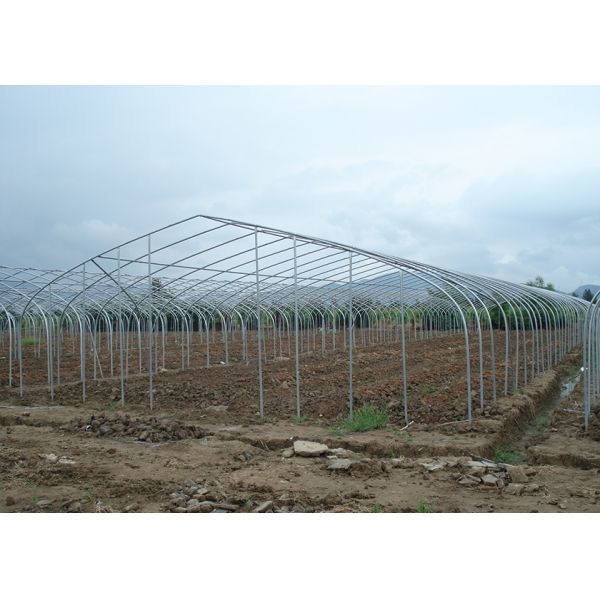 150Micron Single Span Greenhouse Customizable Plastic Film Greenhouse