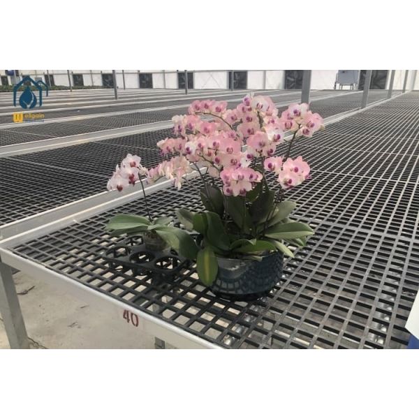 PP Plastic Seedling Tray Moveable Nursery Seed Trays Rectangular For Seedling