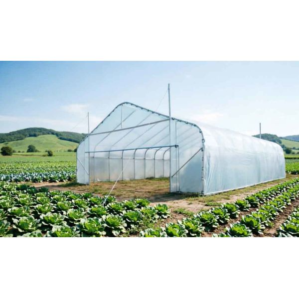 Customizable Greenhouse Tunnels Rectangular Section Shape Length 1-12m Invoiced by Theoretical Weight