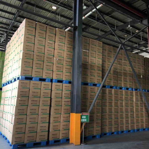 Customized High Quality Toilet Paper Wholesale Price Toilet Paper Roll Hot Sale