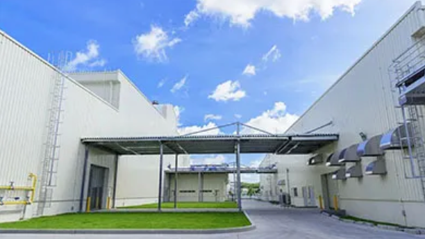 Qingdao Senlis Import and Export Co., Ltd.
