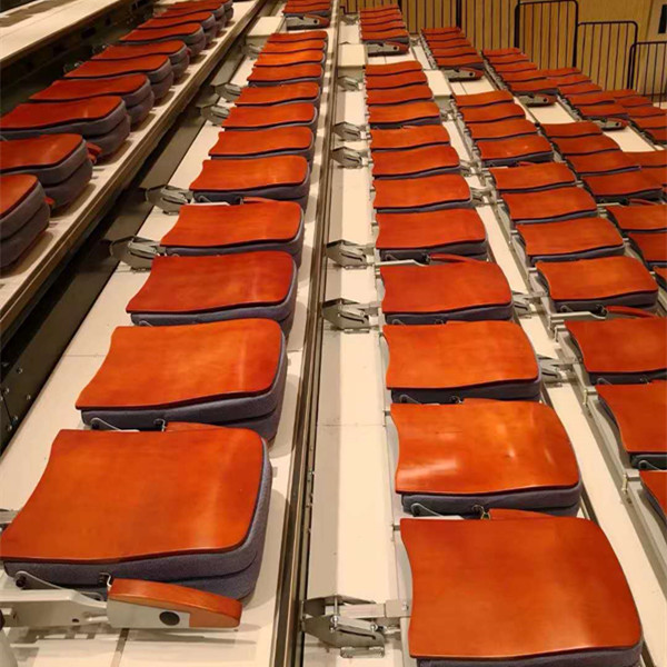 Посадочные места Bleacher Backrest переклейки крытые