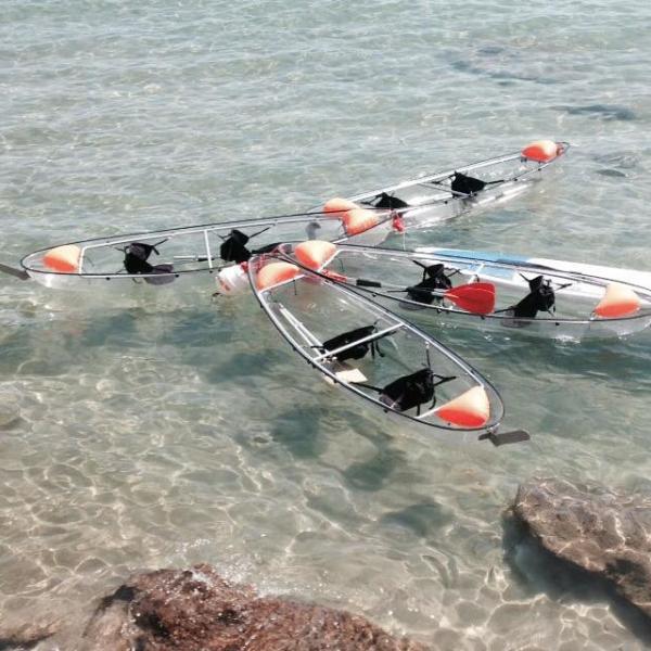 2 Seats Plastic Transparent Paddle Fishing Rowing Boats 338*93*35cm