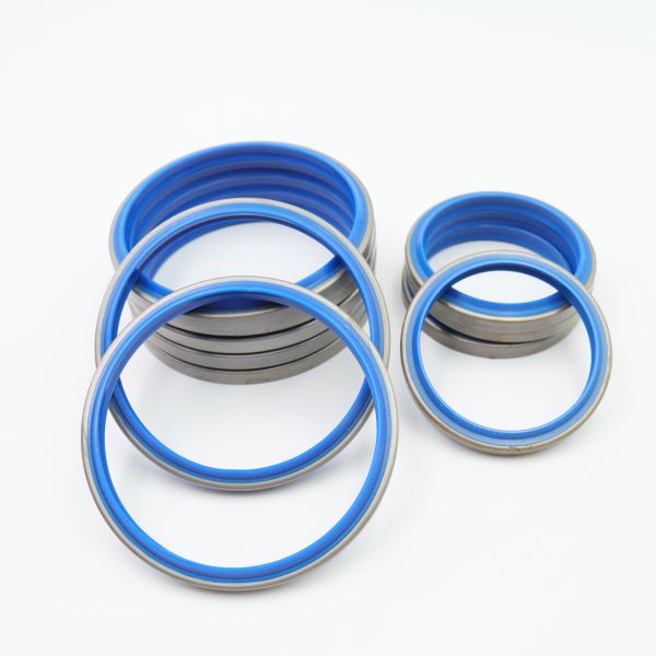 Blue DBKI Silicone FFKM TC O Ring Oil Seal High Temperature Resistant