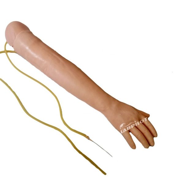 Medical Science Venipuncture and IM Injection Training Arm Model with Spared