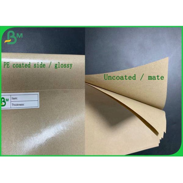 Greaseproof 140g + 15g Glossy PE Coated Kraft Paper In Roll 790mm