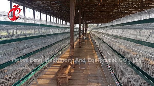 Коммерчески система 2.0m*2.0m*1.45m клетки батареи слоя цыпленка в звезде Нигерии