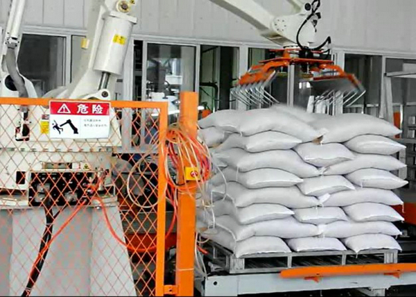 Automatic Robotic Palletizer For Logsitics System / FMCG / Food Beverage