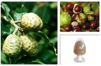 Horse Chestnut P.E., Aescin 20% ,CAS NO.: 6805-41-0, 100% natural anti-inflammatory and antioxidant , reishi mushroom