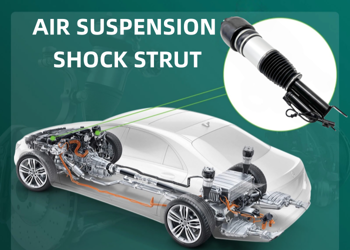 Airmatic Suspension Shock For Mercedes-Benz E-Class W211 CLS-Class W219 Front Left 2113206113