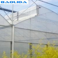 Revêtement en plastique ISO9001 2008 de serre chaude multi d'envergure de toit de dent de scie claire