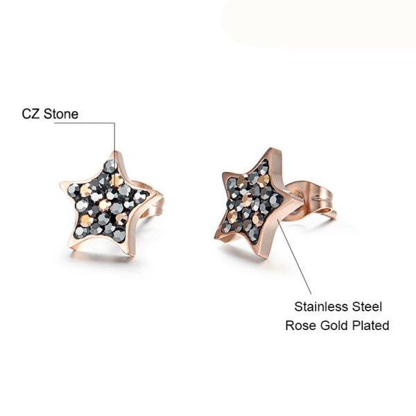 RainSo Fashion Stainless Steel Rose Gold Star Shape Stud Earrings