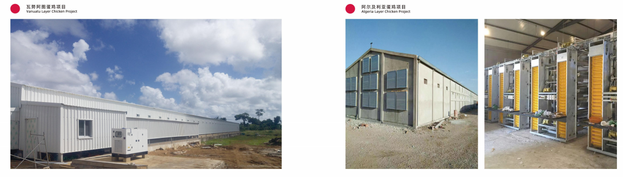 Префабрикованная стальная конструкция заводчик куриные дома сельскохозяйственный дом для скота