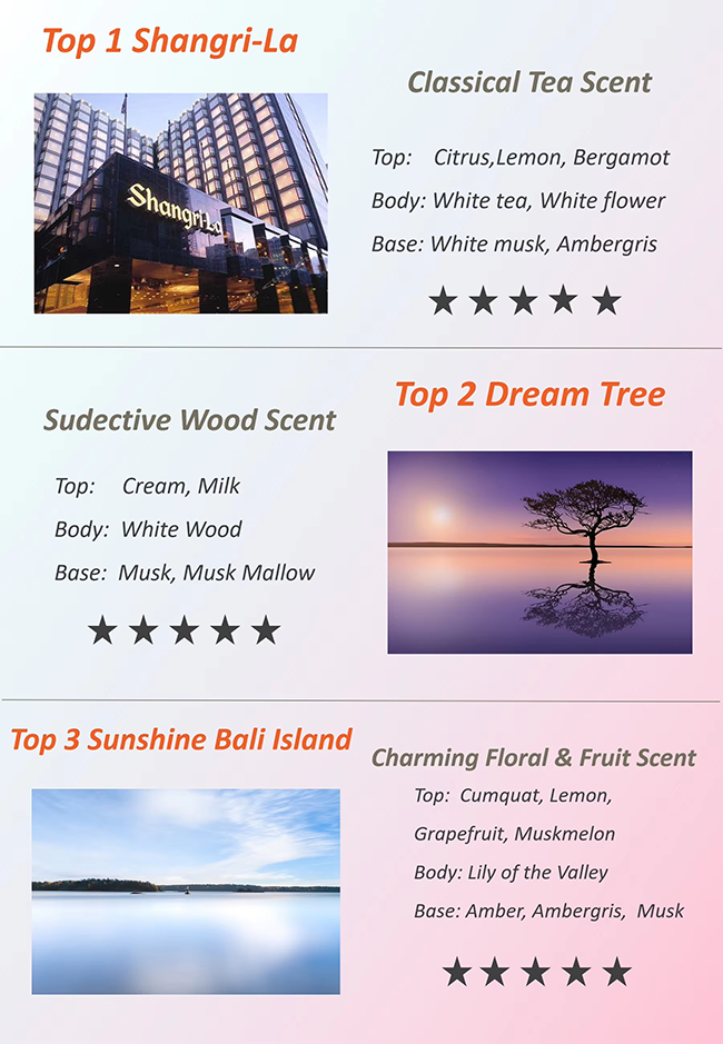 Aceite de fragancia Shangri La 500 ml 4L Capacidad para el difusor de aroma