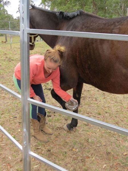 Round Corral Panels Heavy Duty 6 Oval Rail - Portable Horse Pens For Sale