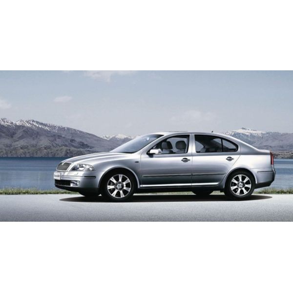 SGS Нетоксичная серебряная металлическая автомобильная краска, влагонепроницаемая автомобильная серебряная краска