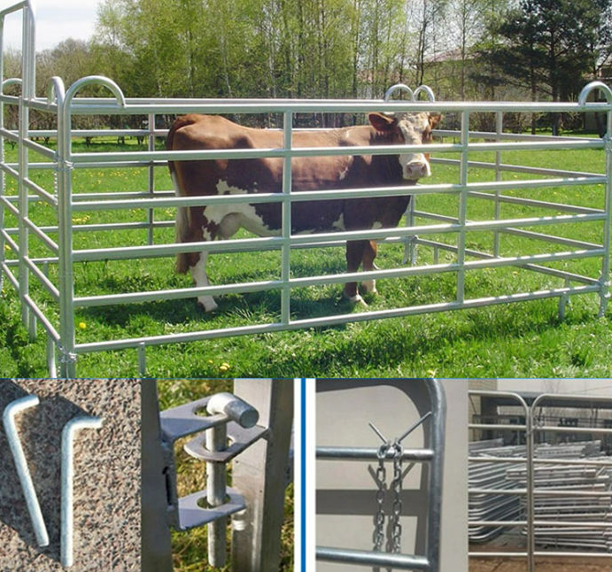 Round Pen Panels Galvanized Cattle Panels for Horse Training 1.8*2.5m